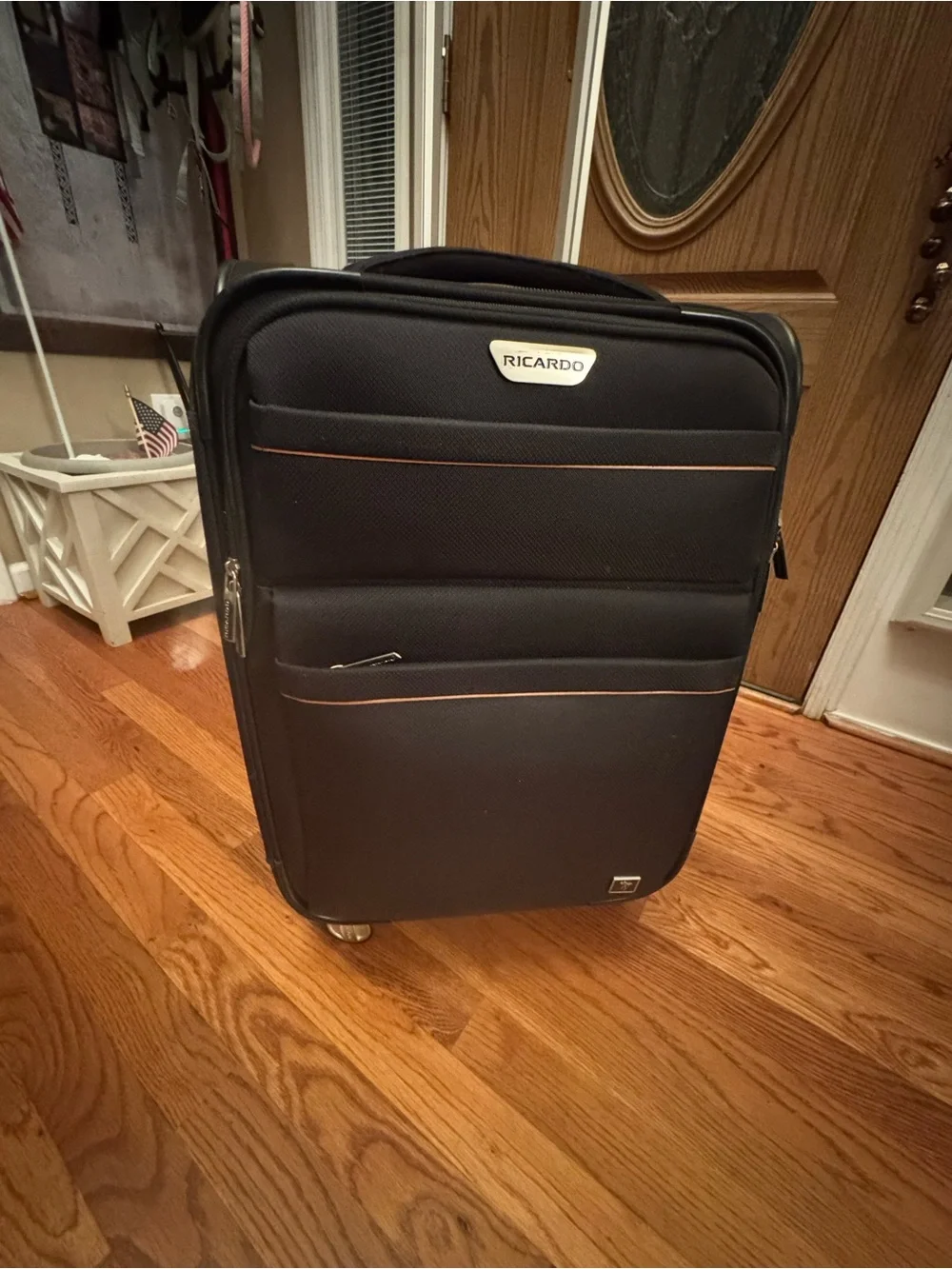 Ricardo Black Carry-On Spinner Suitcase